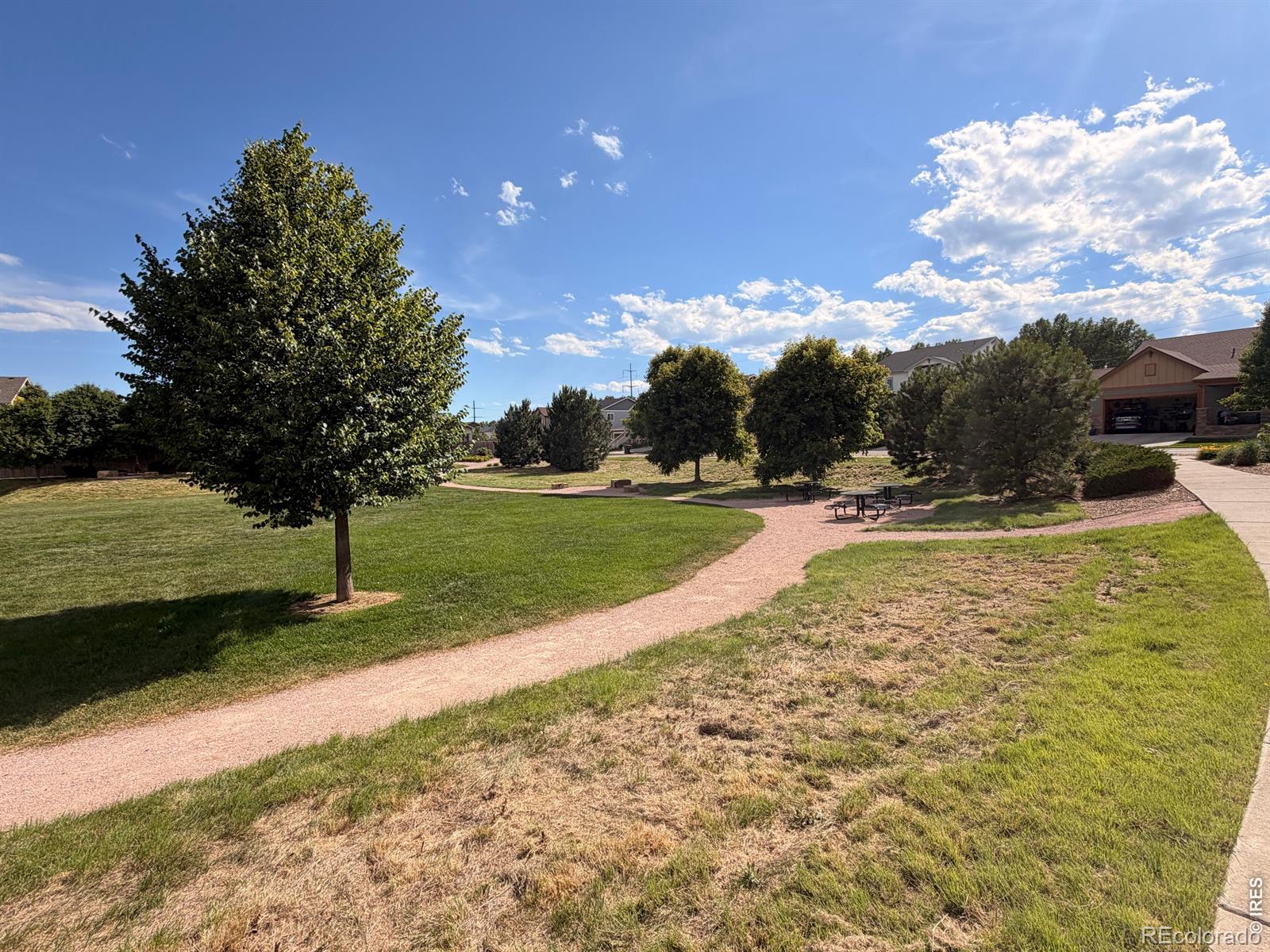 MLS Image #29 for 2326  adobe drive,fort collins, Colorado
