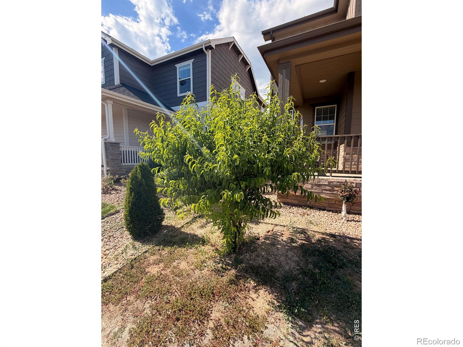 MLS Image #36 for 2326  adobe drive,fort collins, Colorado