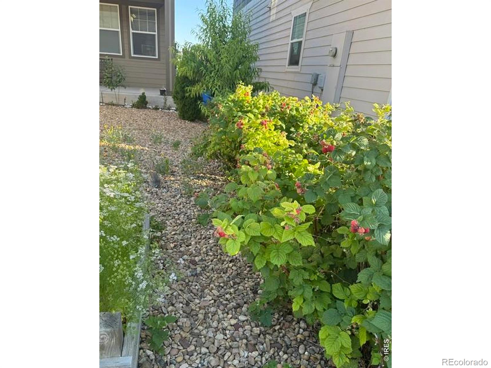 MLS Image #39 for 2326  adobe drive,fort collins, Colorado