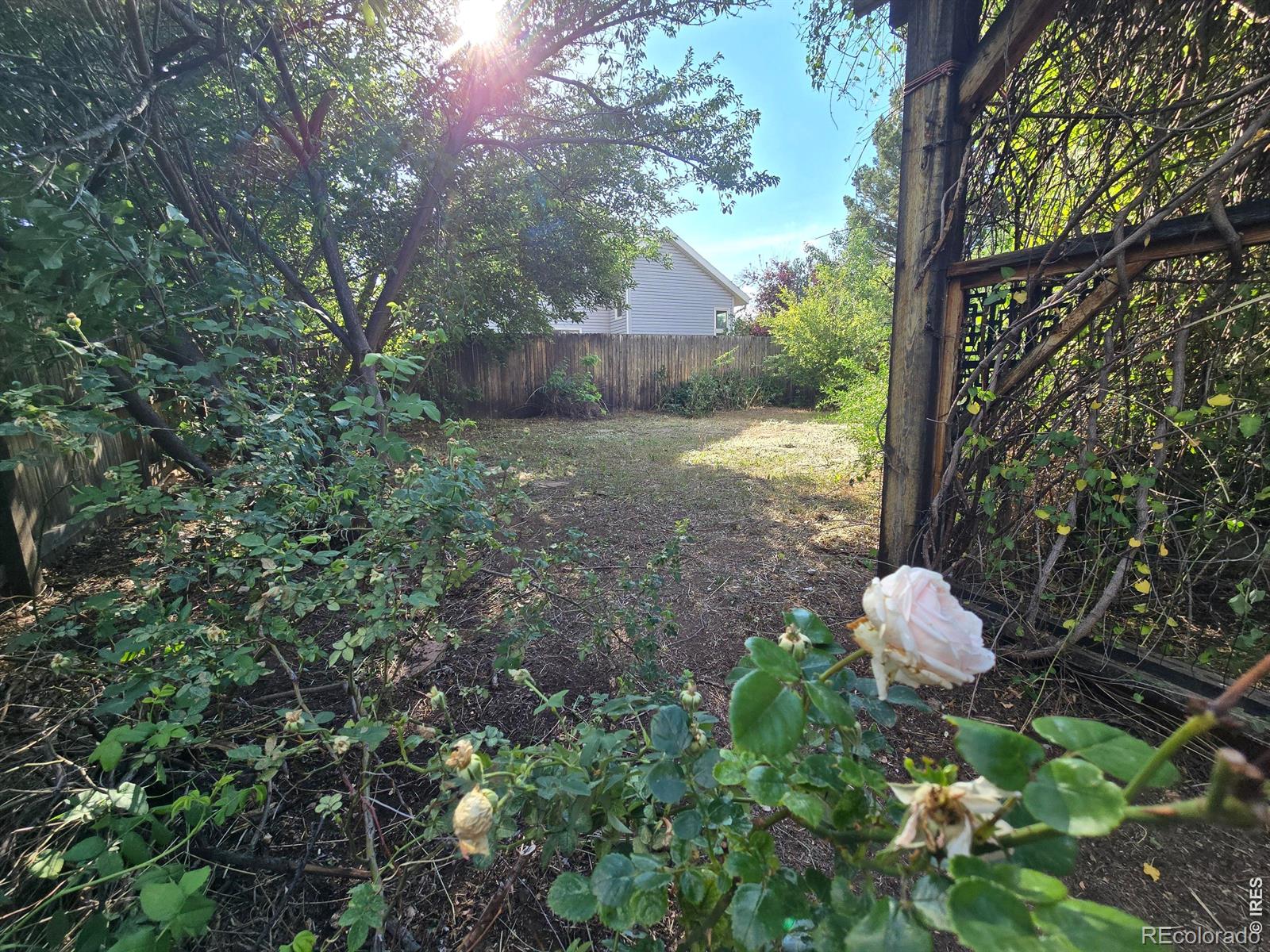 MLS Image #21 for 2419  hollingbourne drive,fort collins, Colorado