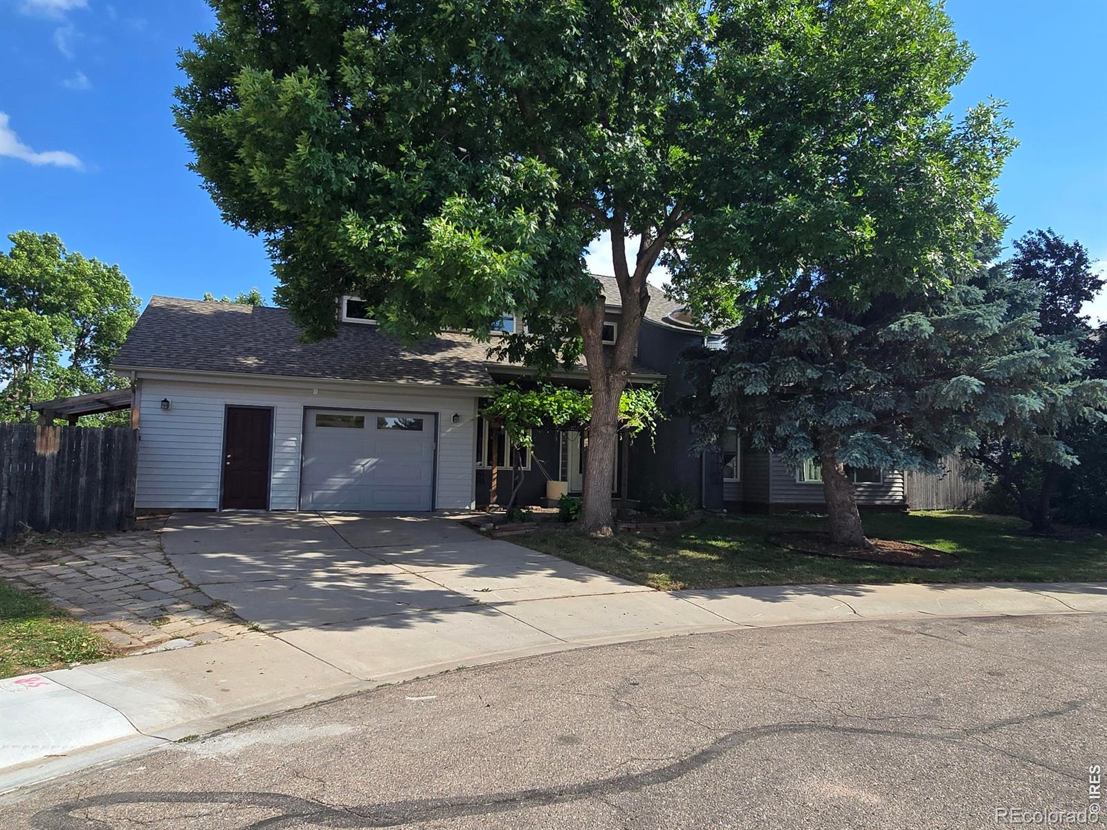 MLS Image #4 for 2419  hollingbourne drive,fort collins, Colorado