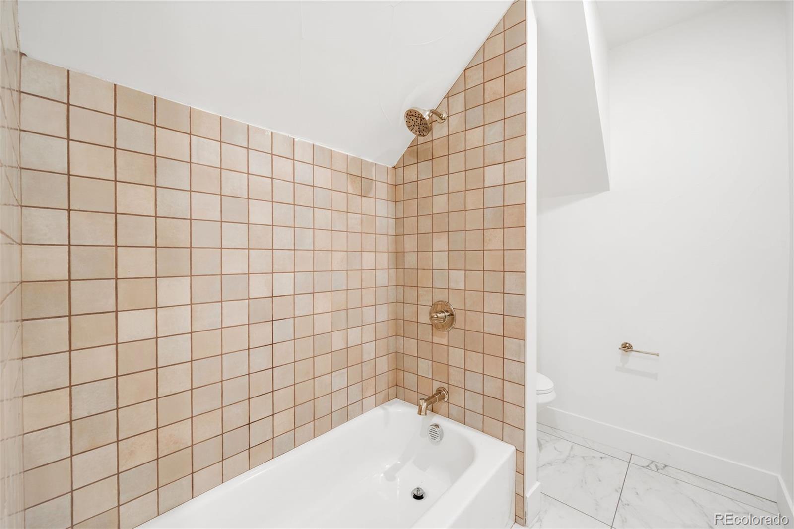 MLS Image #30 for 2343  dahlia street,denver, Colorado
