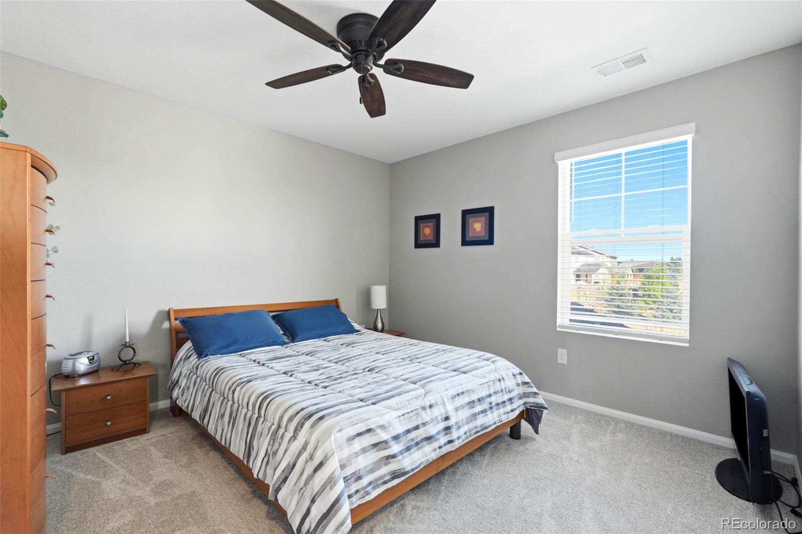 MLS Image #25 for 359  vista cliff circle,castle rock, Colorado