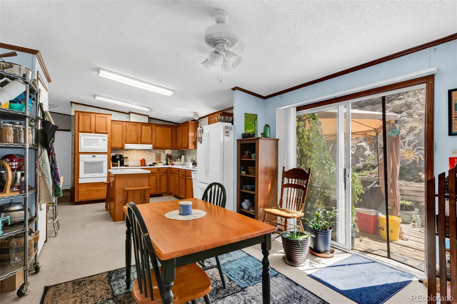 MLS Image #10 for 4758  copper gulch road,cotopaxi, Colorado
