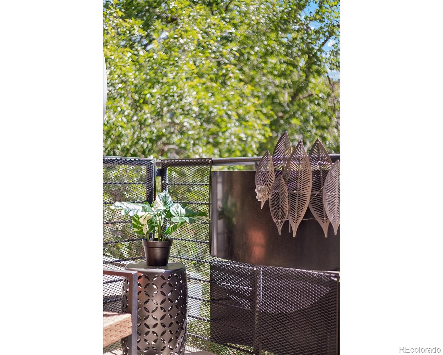 MLS Image #8 for 271 n grant street,denver, Colorado