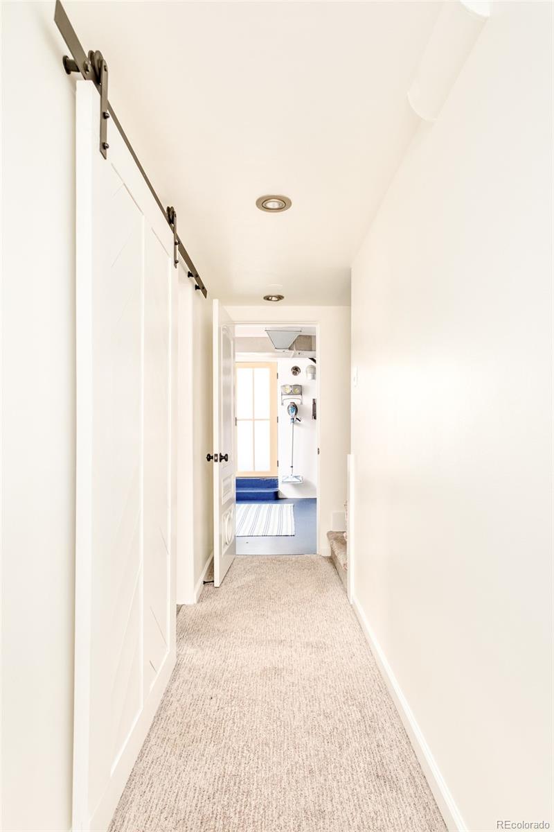 MLS Image #29 for 1101 s columbine street,denver, Colorado