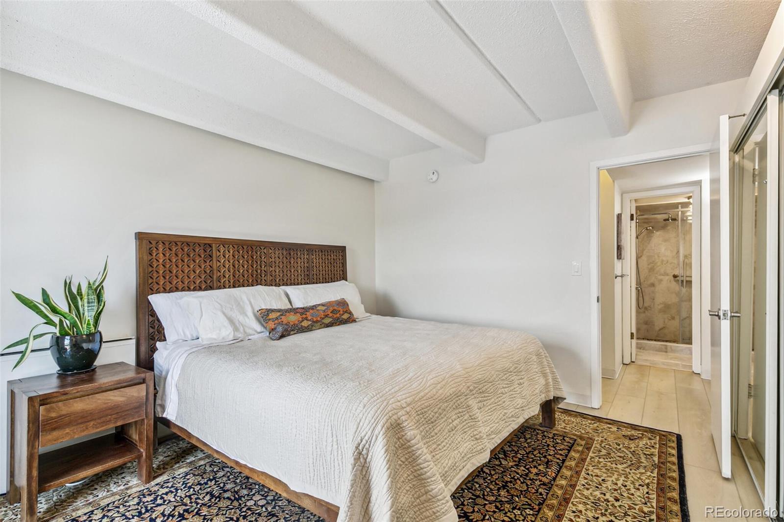MLS Image #14 for 1255 n ogden street 605,denver, Colorado