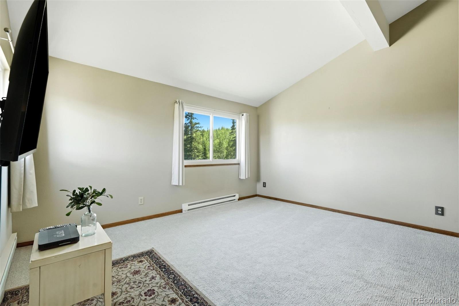 MLS Image #25 for 184  burgundy circle,silverthorne, Colorado