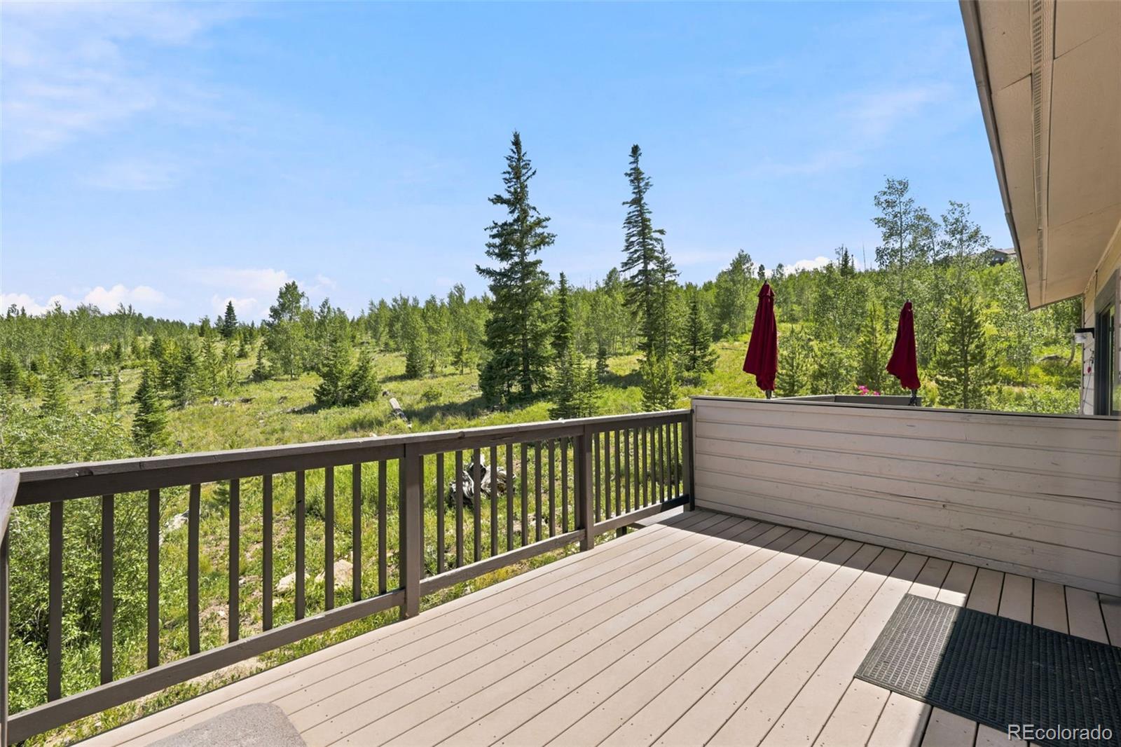 MLS Image #6 for 184  burgundy circle,silverthorne, Colorado