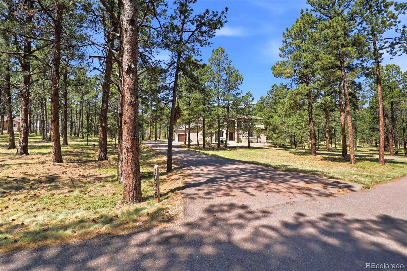 MLS Image #2 for 10916  silver mountain point,colorado springs, Colorado