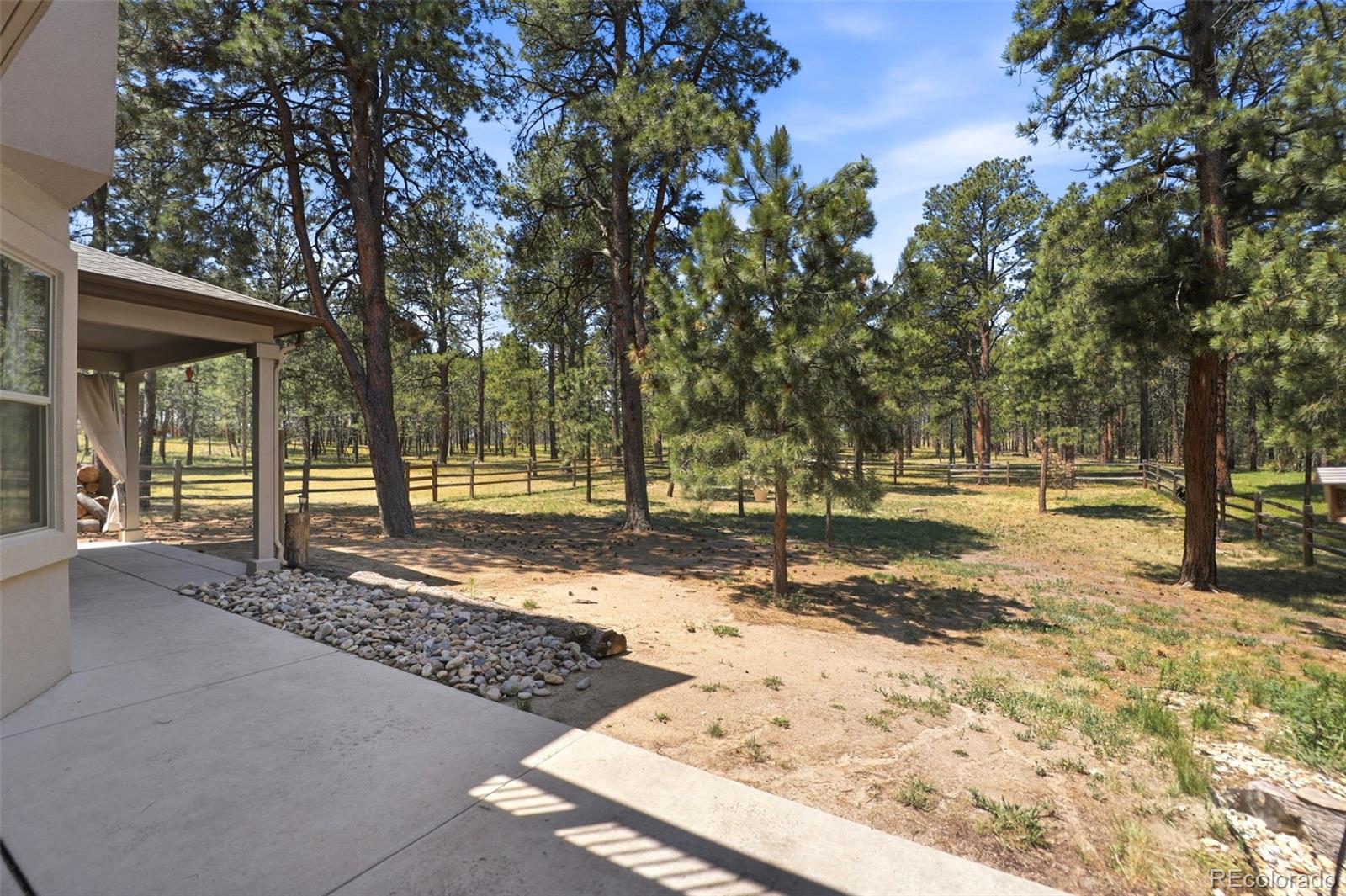 MLS Image #40 for 10916  silver mountain point,colorado springs, Colorado