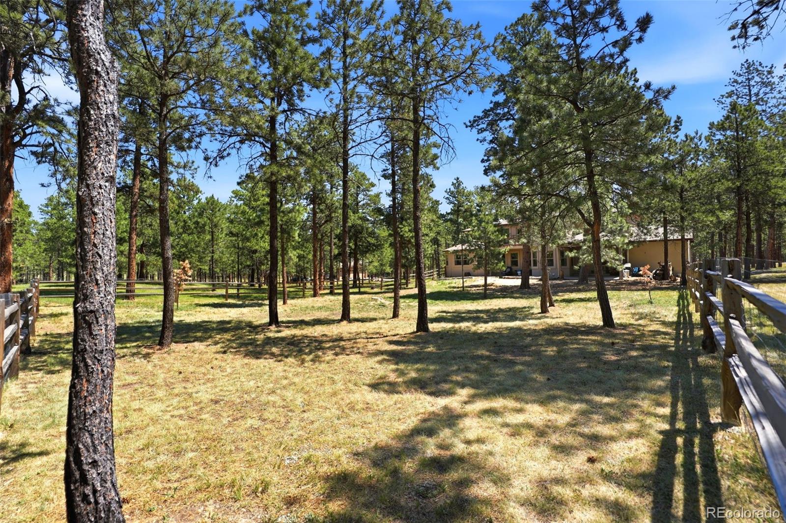 MLS Image #41 for 10916  silver mountain point,colorado springs, Colorado
