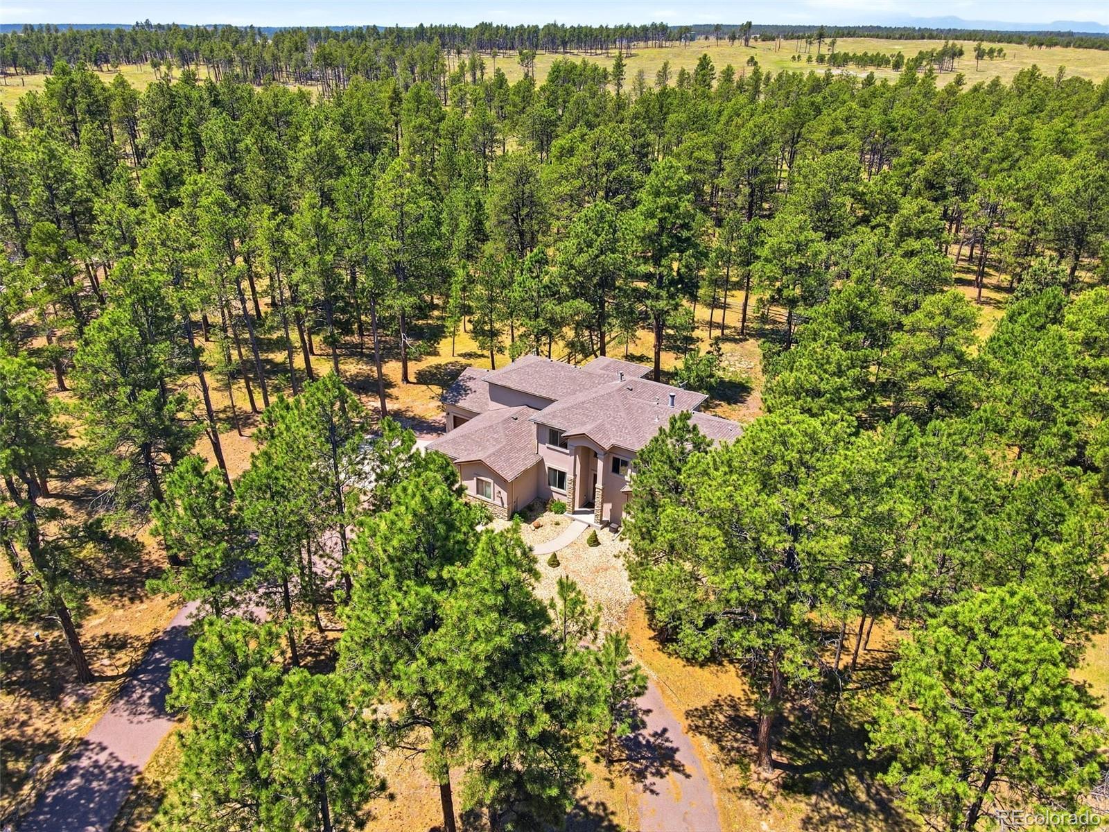 MLS Image #43 for 10916  silver mountain point,colorado springs, Colorado