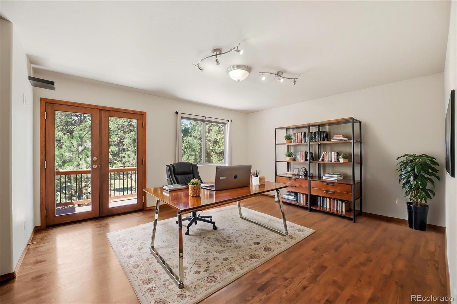 MLS Image #5 for 10916  silver mountain point,colorado springs, Colorado