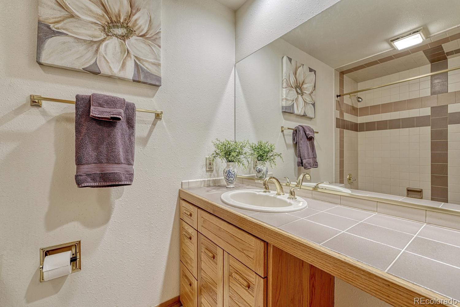 MLS Image #29 for 6738  condor run,littleton, Colorado