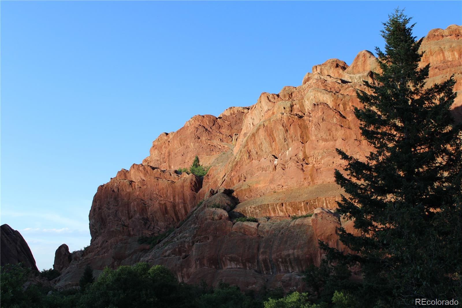 MLS Image #46 for 6738  condor run,littleton, Colorado