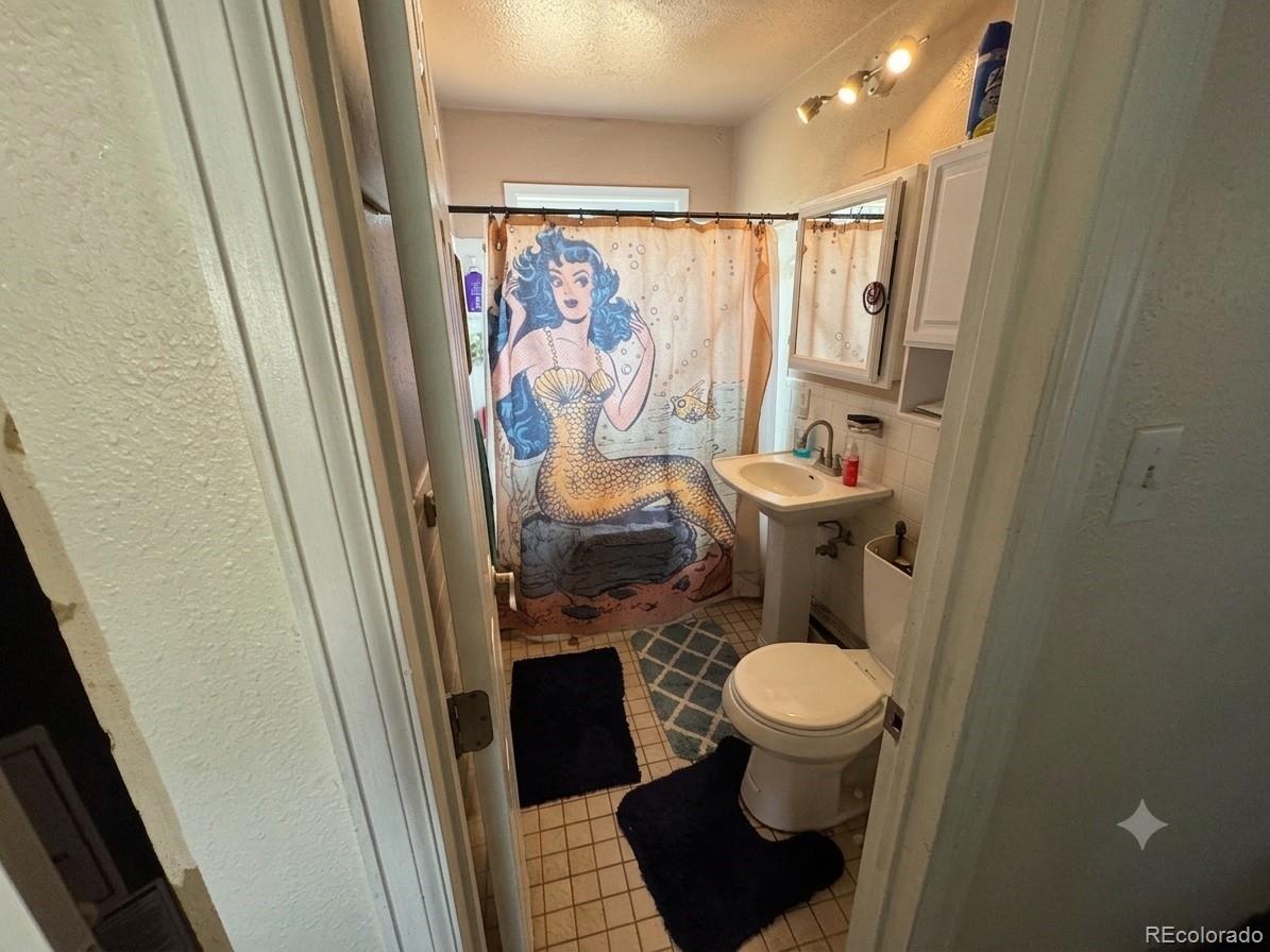MLS Image #14 for 2500 s hooker street,denver, Colorado
