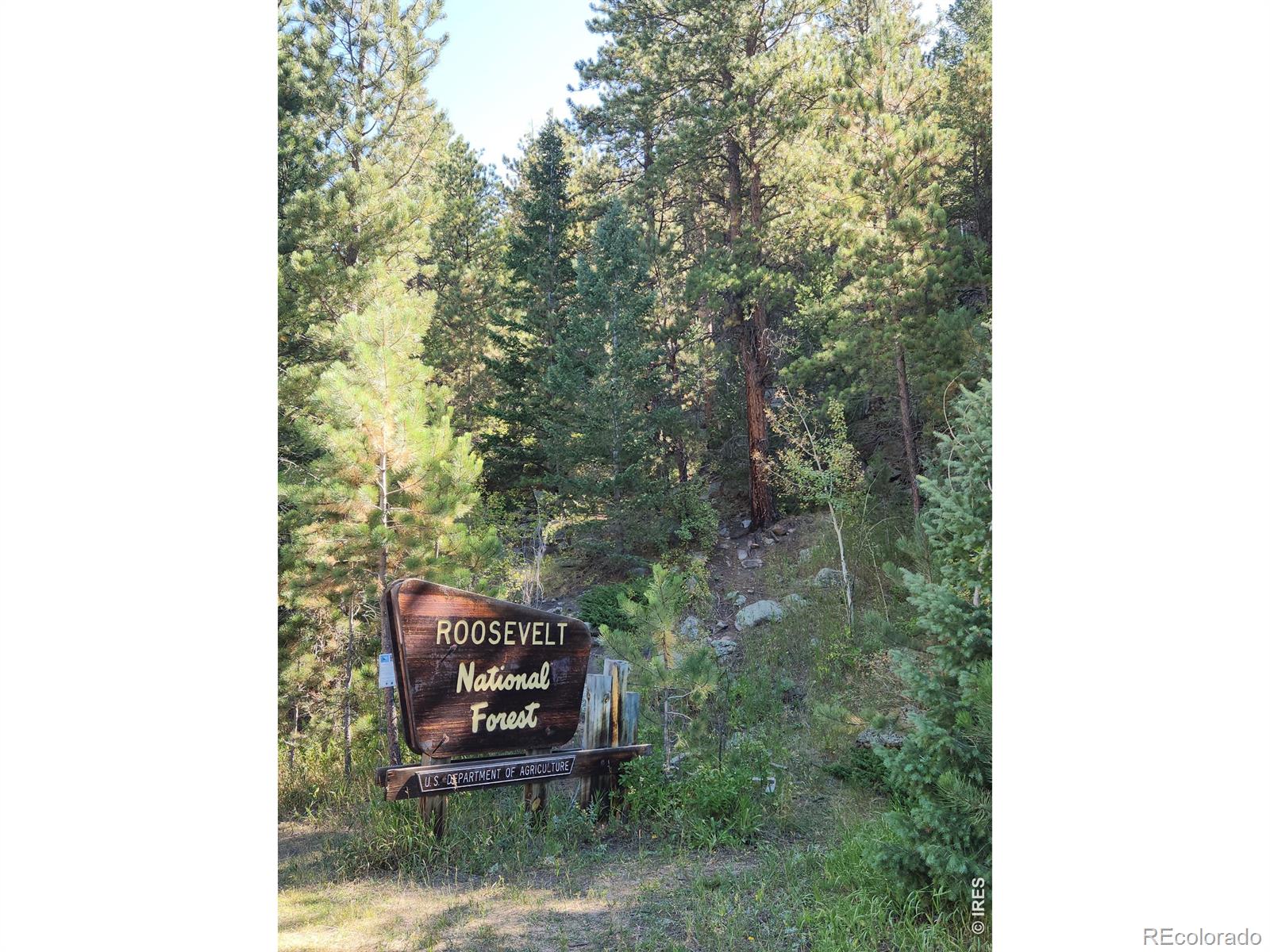 MLS Image #30 for 148  big pine lane,drake, Colorado