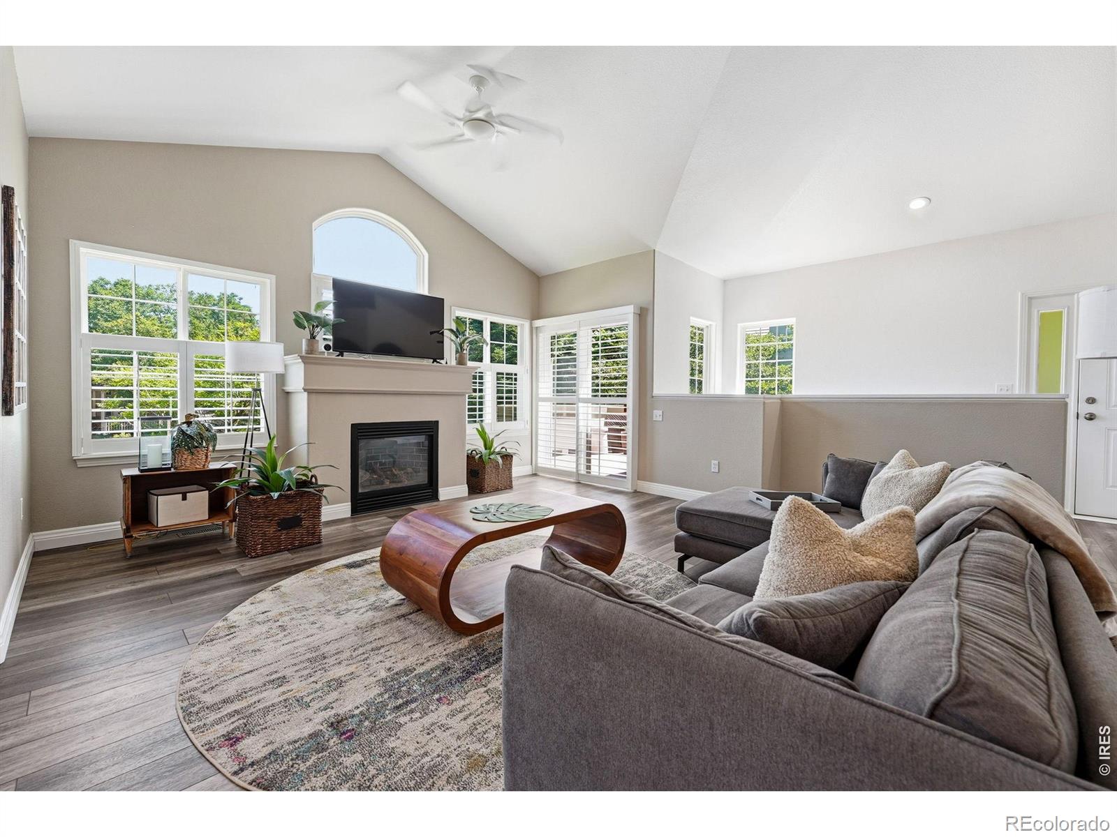 MLS Image #4 for 3766  florentine circle,longmont, Colorado
