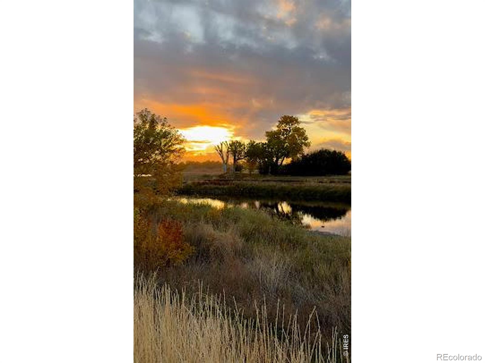 MLS Image #26 for 8451  madison way,denver, Colorado