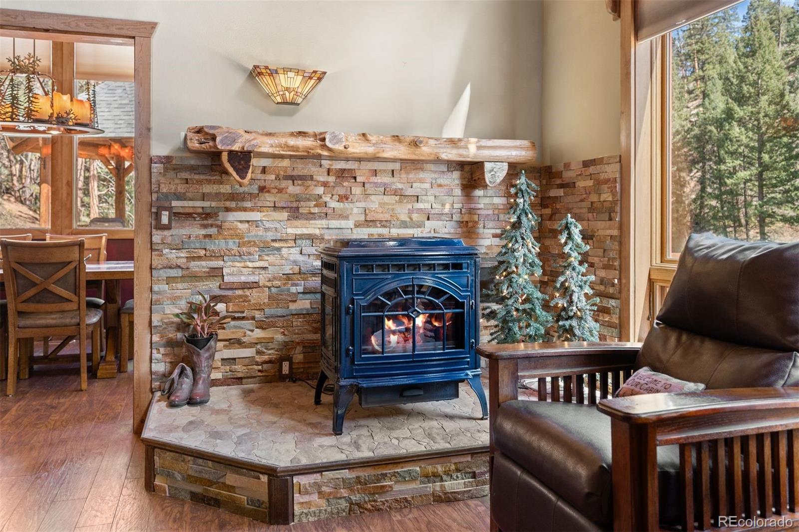 MLS Image #14 for 17025 sw platte river road,pine, Colorado