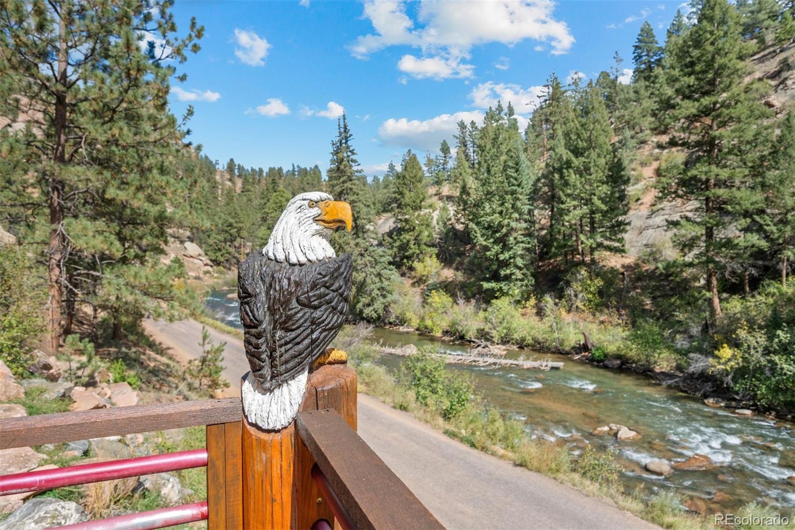MLS Image #2 for 17025 sw platte river road,pine, Colorado