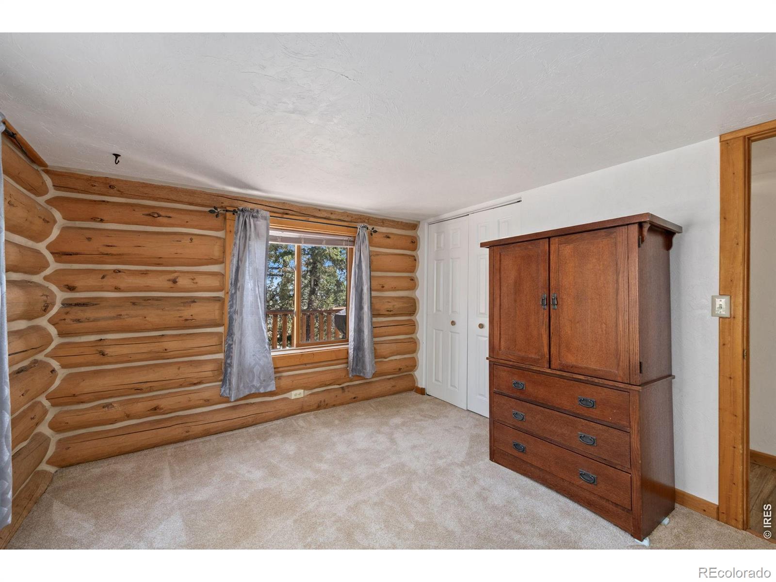 MLS Image #17 for 298  mount massive drive,livermore, Colorado