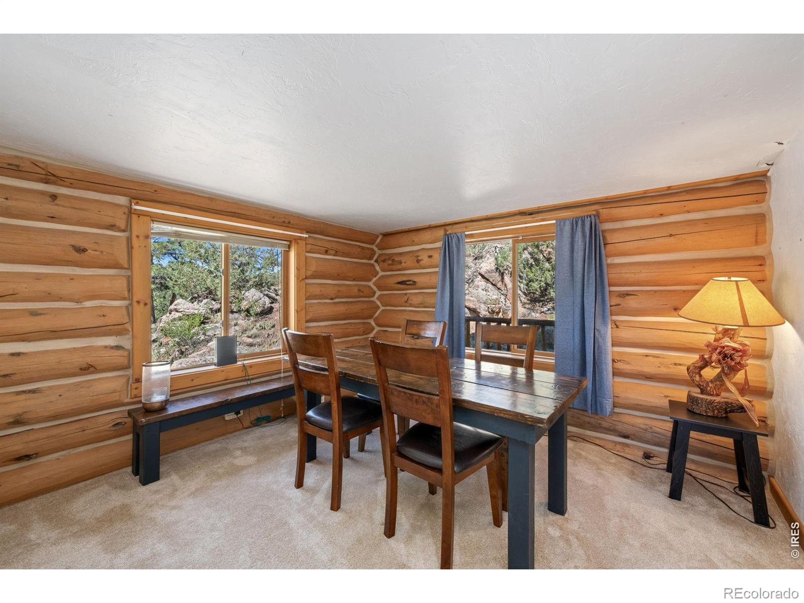 MLS Image #19 for 298  mount massive drive,livermore, Colorado