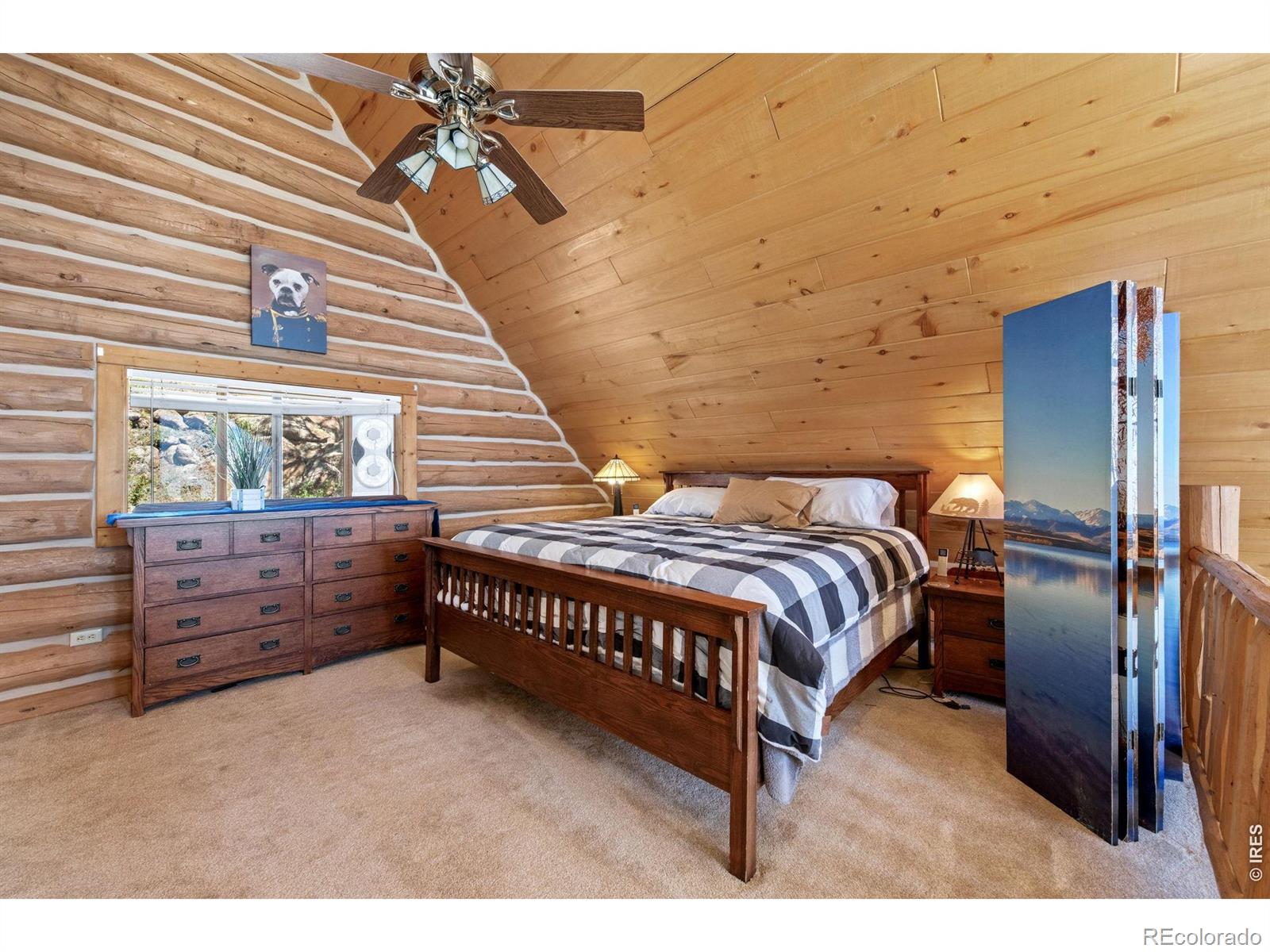 MLS Image #21 for 298  mount massive drive,livermore, Colorado