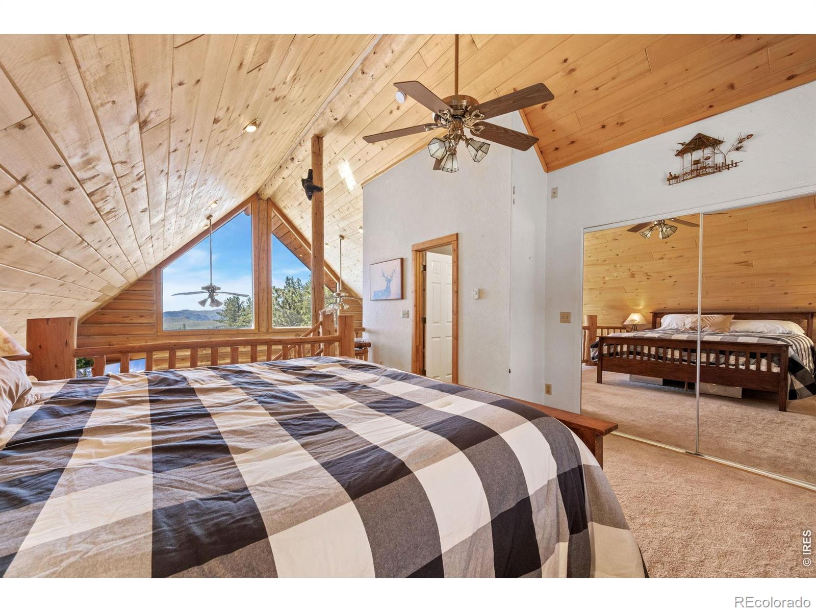 MLS Image #22 for 298  mount massive drive,livermore, Colorado