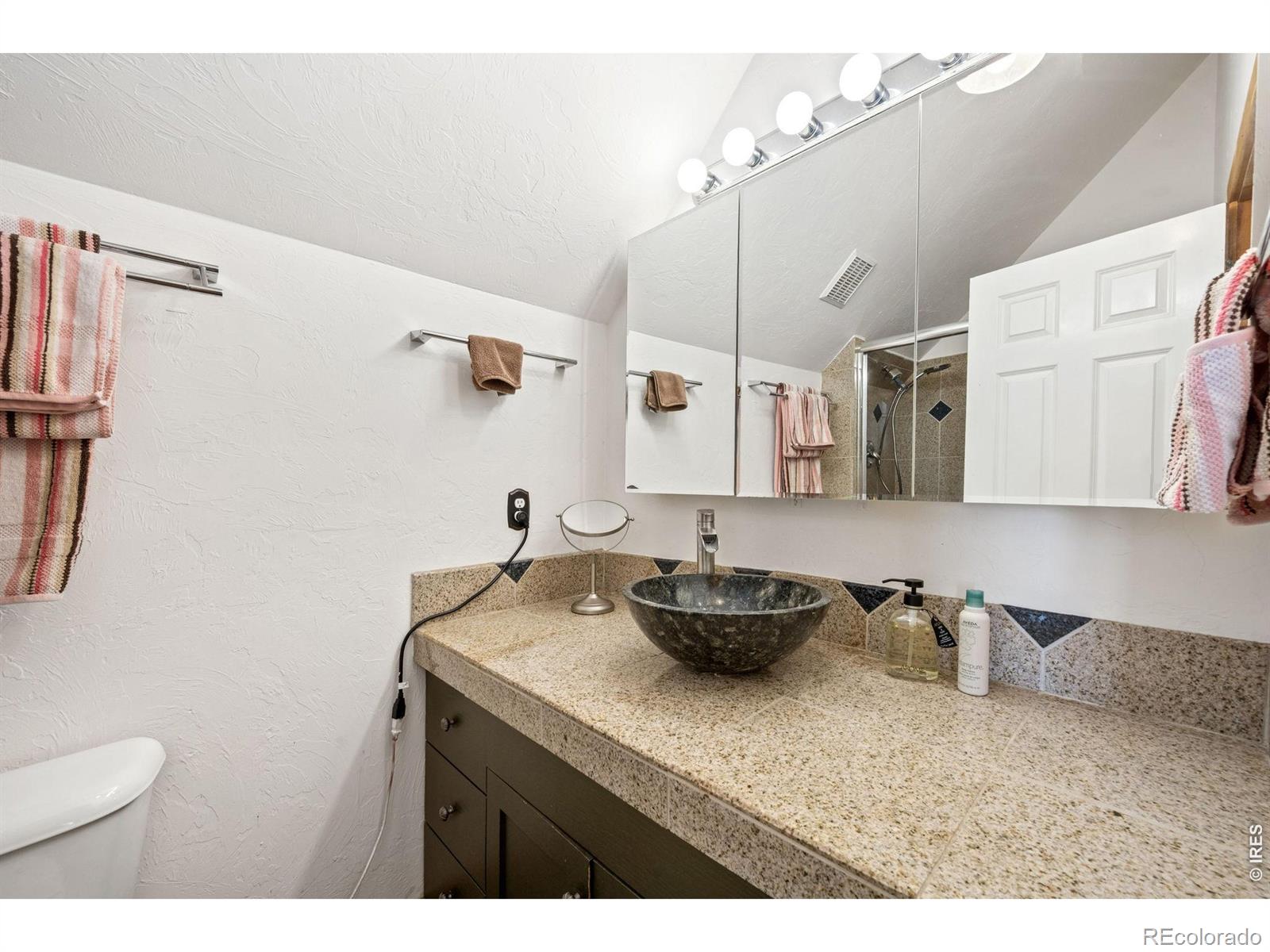MLS Image #23 for 298  mount massive drive,livermore, Colorado