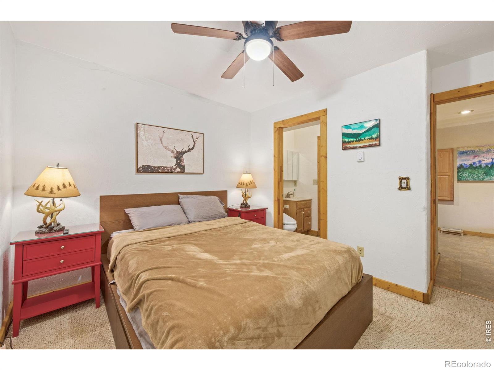 MLS Image #26 for 298  mount massive drive,livermore, Colorado