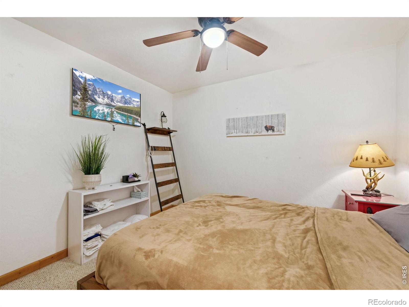MLS Image #27 for 298  mount massive drive,livermore, Colorado