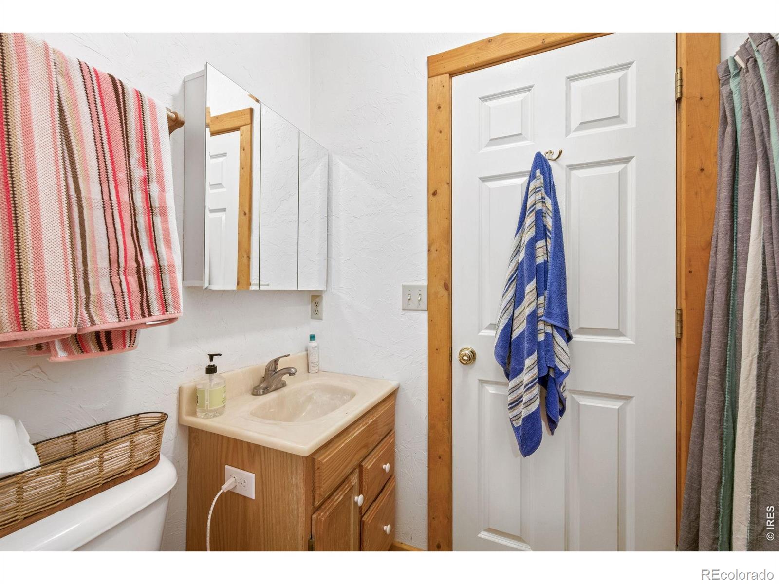 MLS Image #28 for 298  mount massive drive,livermore, Colorado