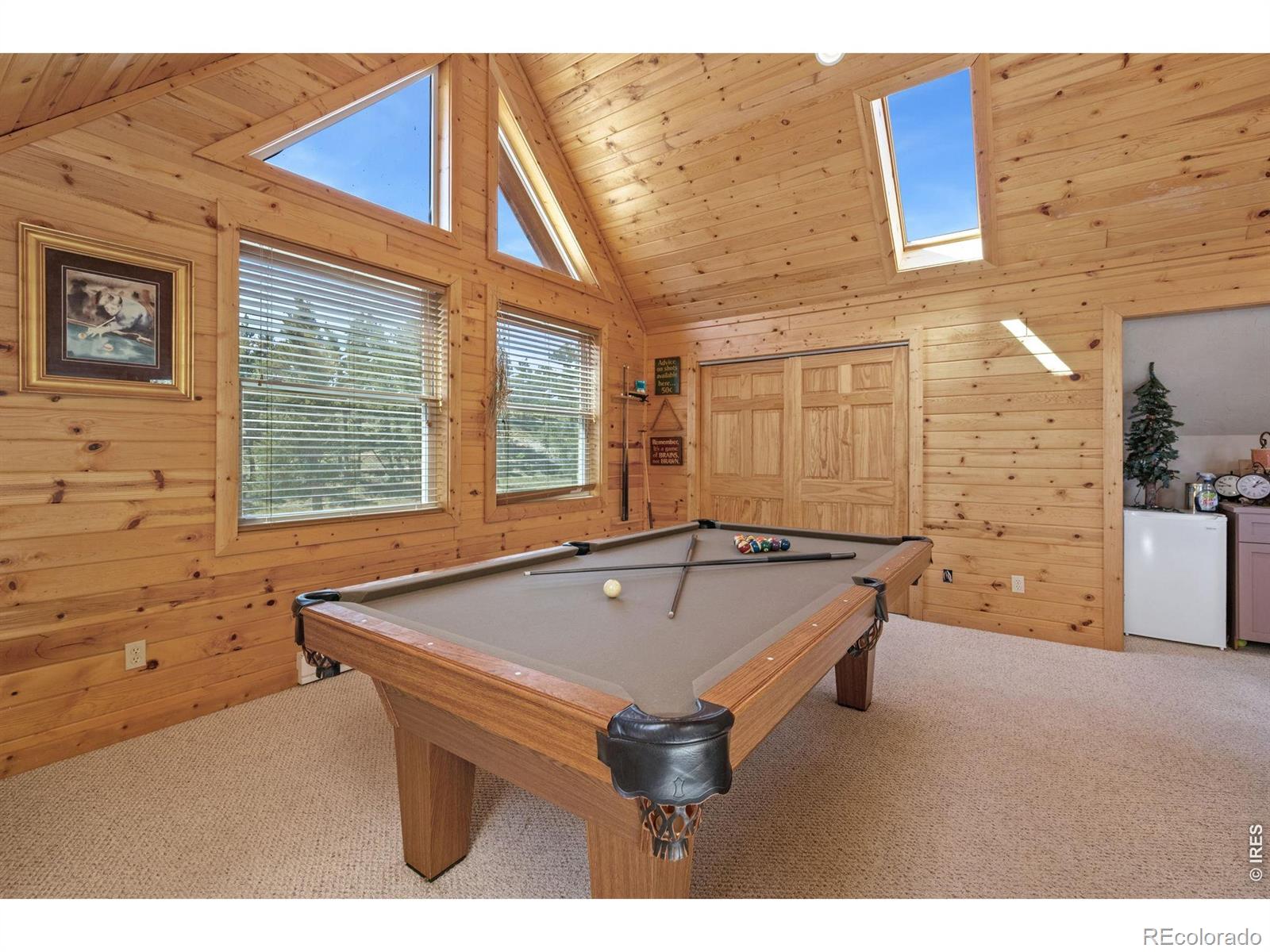 MLS Image #33 for 298  mount massive drive,livermore, Colorado