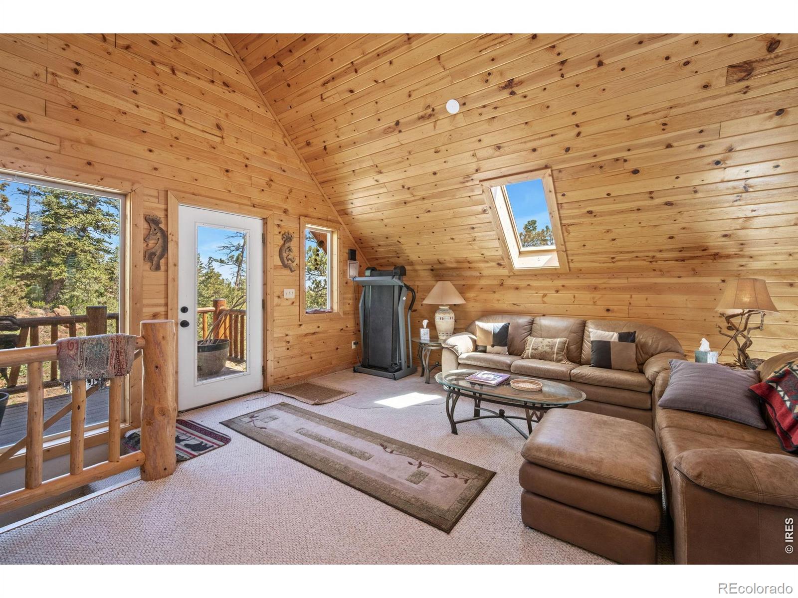 MLS Image #35 for 298  mount massive drive,livermore, Colorado