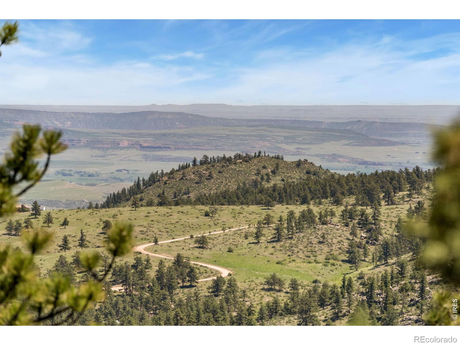 MLS Image #39 for 298  mount massive drive,livermore, Colorado