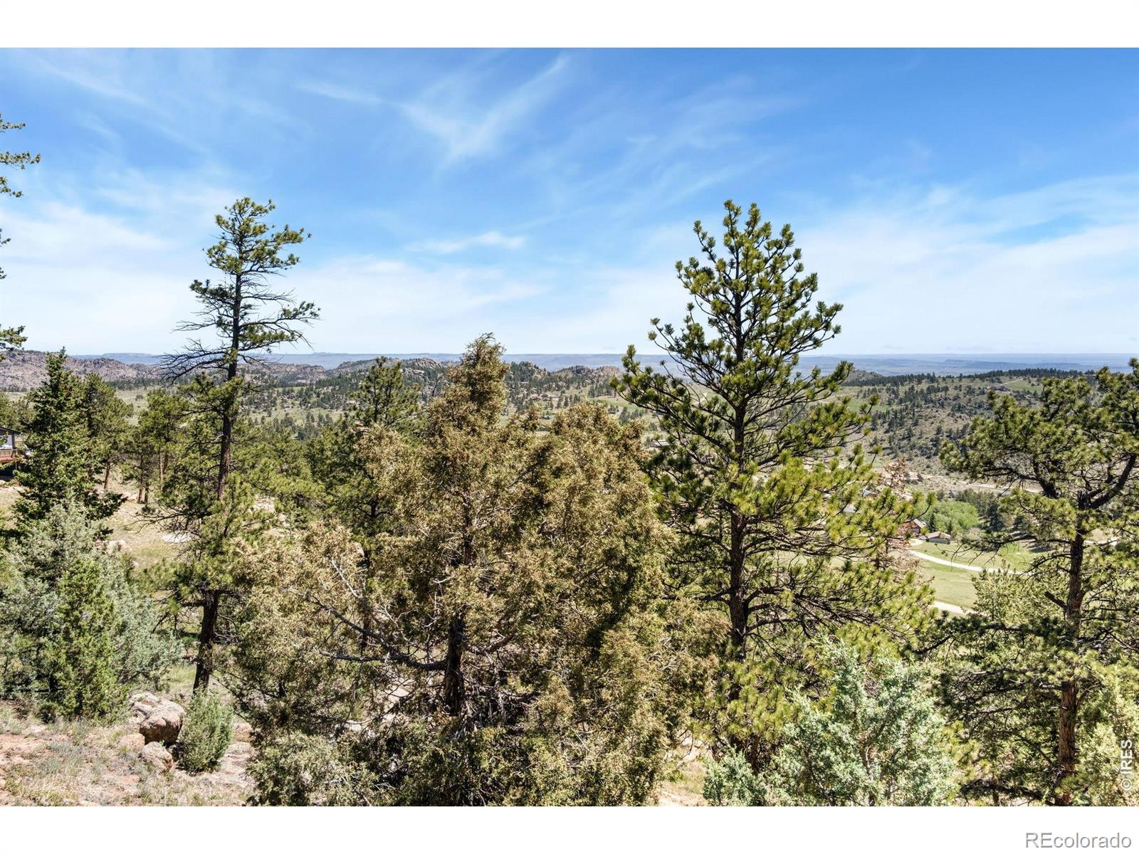 MLS Image #41 for 298  mount massive drive,livermore, Colorado