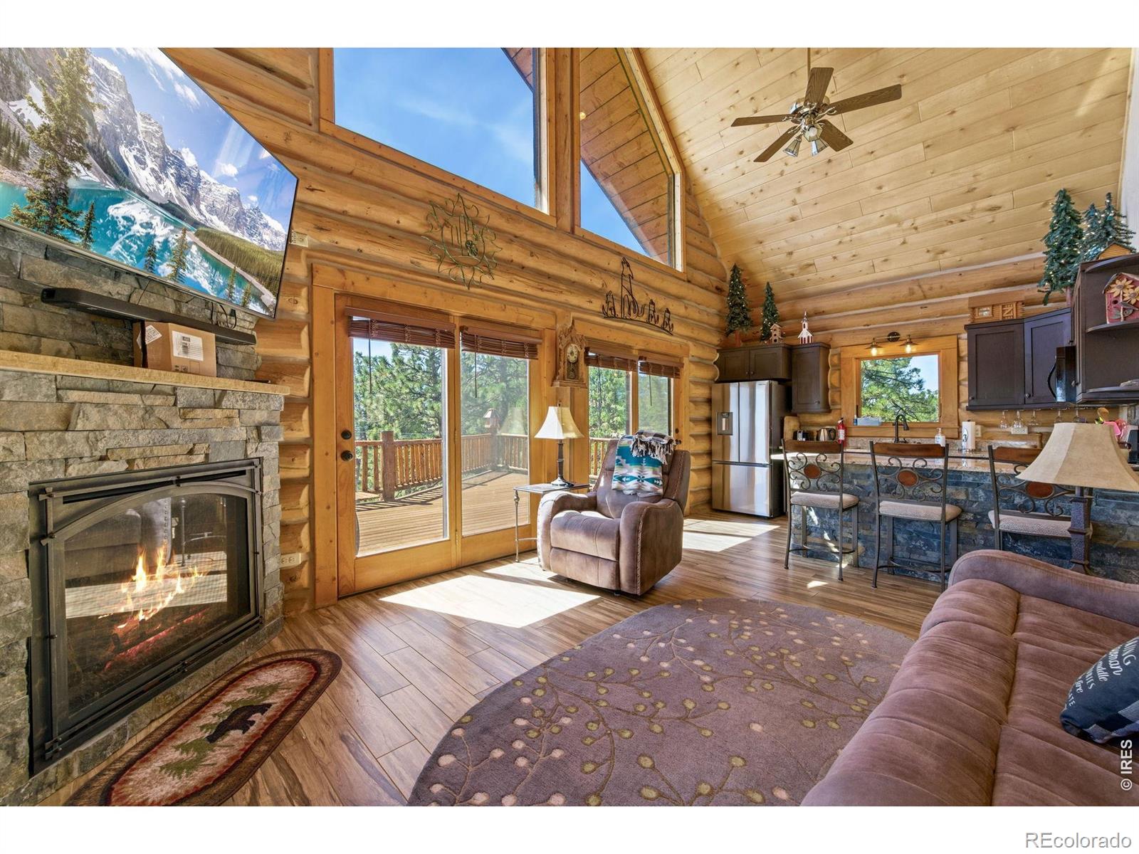 MLS Image #5 for 298  mount massive drive,livermore, Colorado