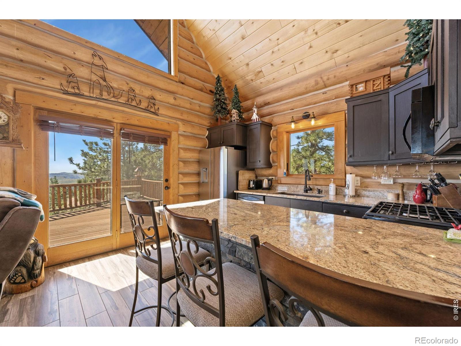 MLS Image #8 for 298  mount massive drive,livermore, Colorado