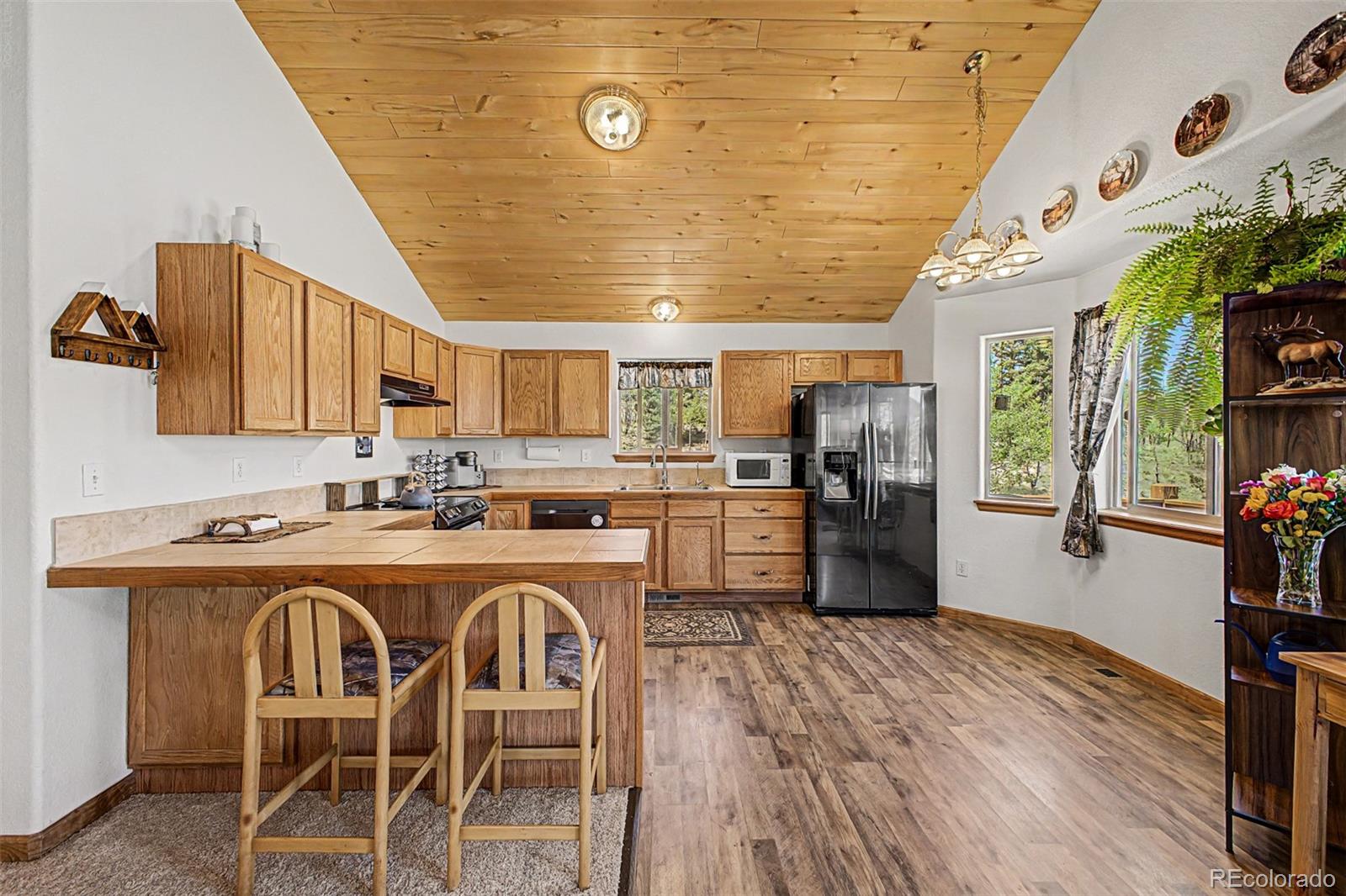 MLS Image #7 for 1257  chippewa road,jefferson, Colorado