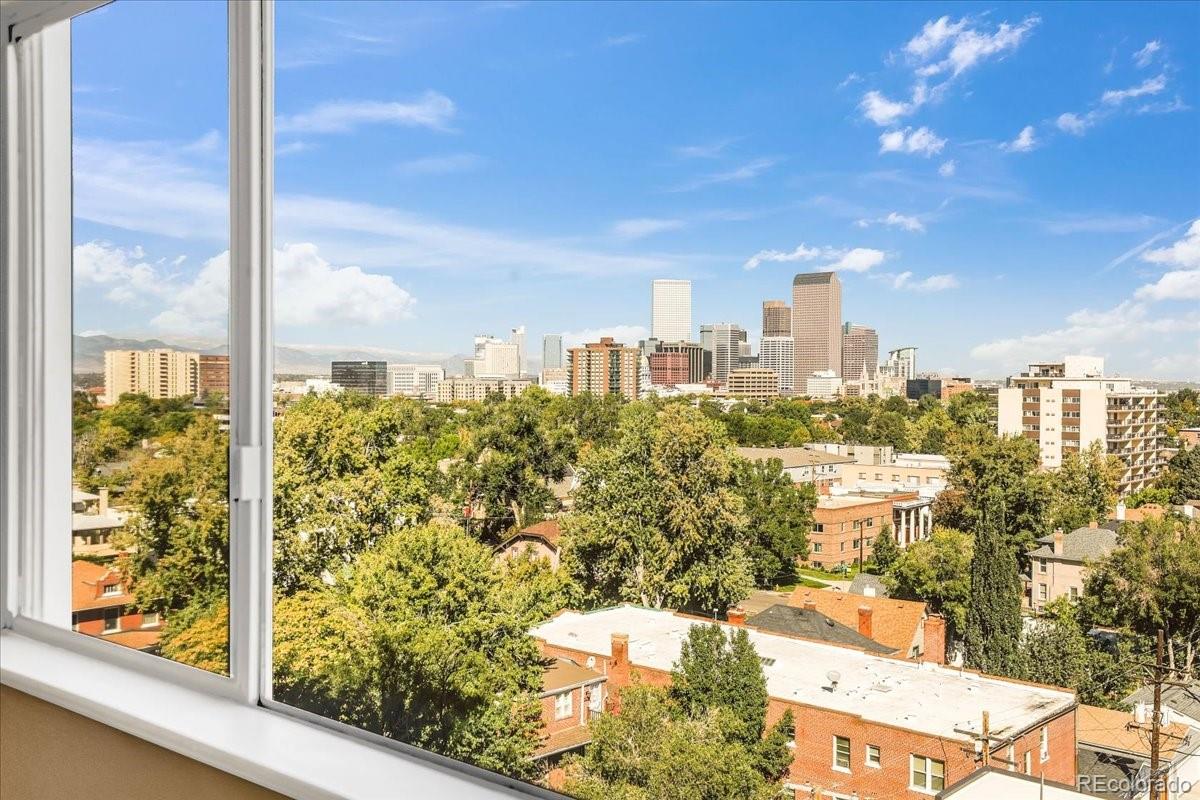 MLS Image #9 for 1029 e 8th avenue 903,denver, Colorado