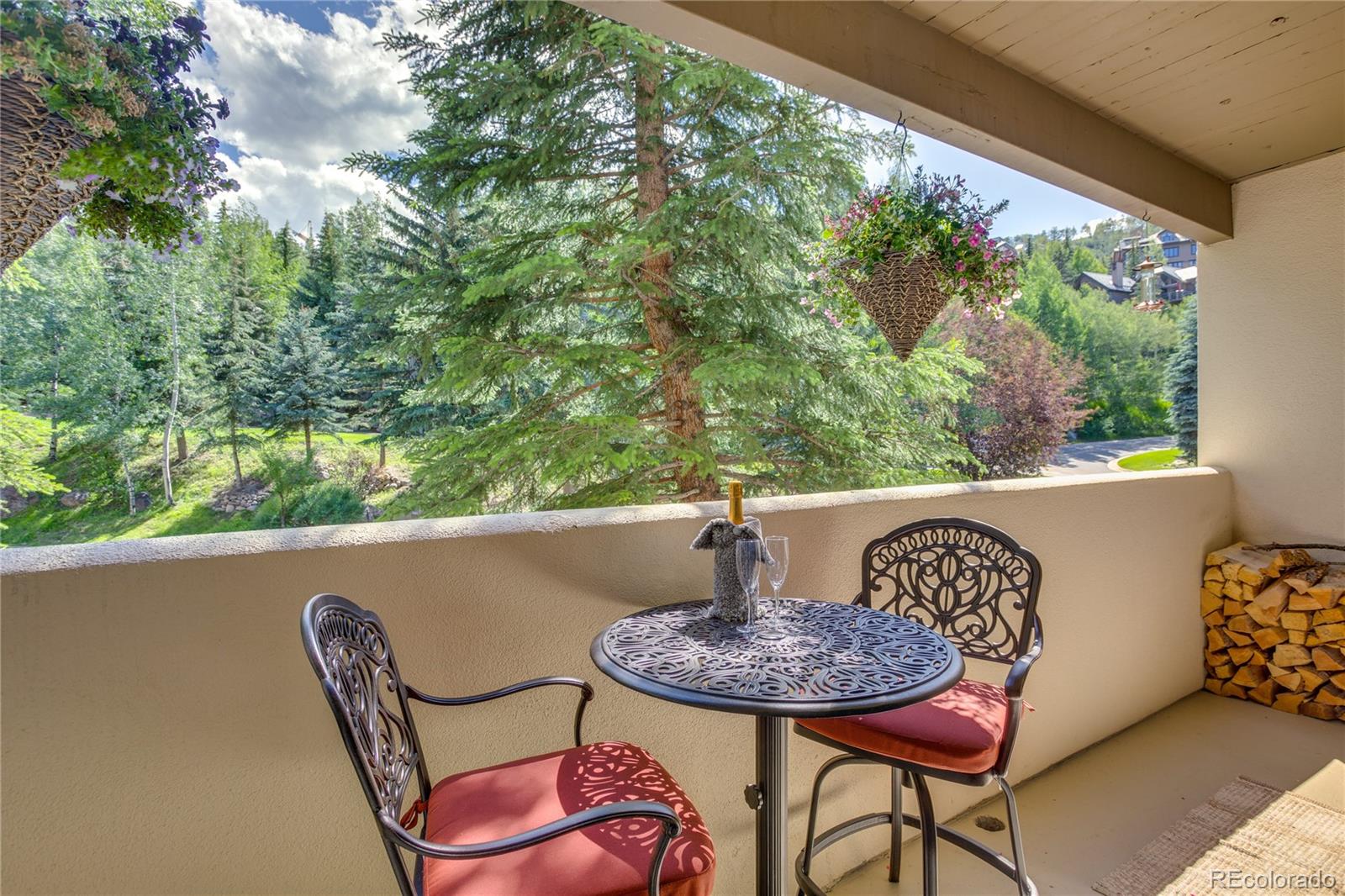 MLS Image #24 for 1206  village road,avon, Colorado
