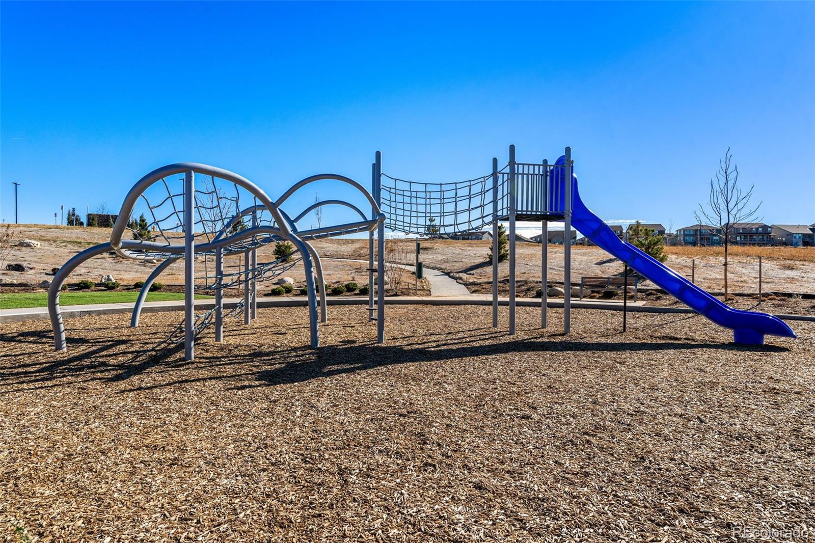 MLS Image #42 for 3340  fervid street,castle rock, Colorado