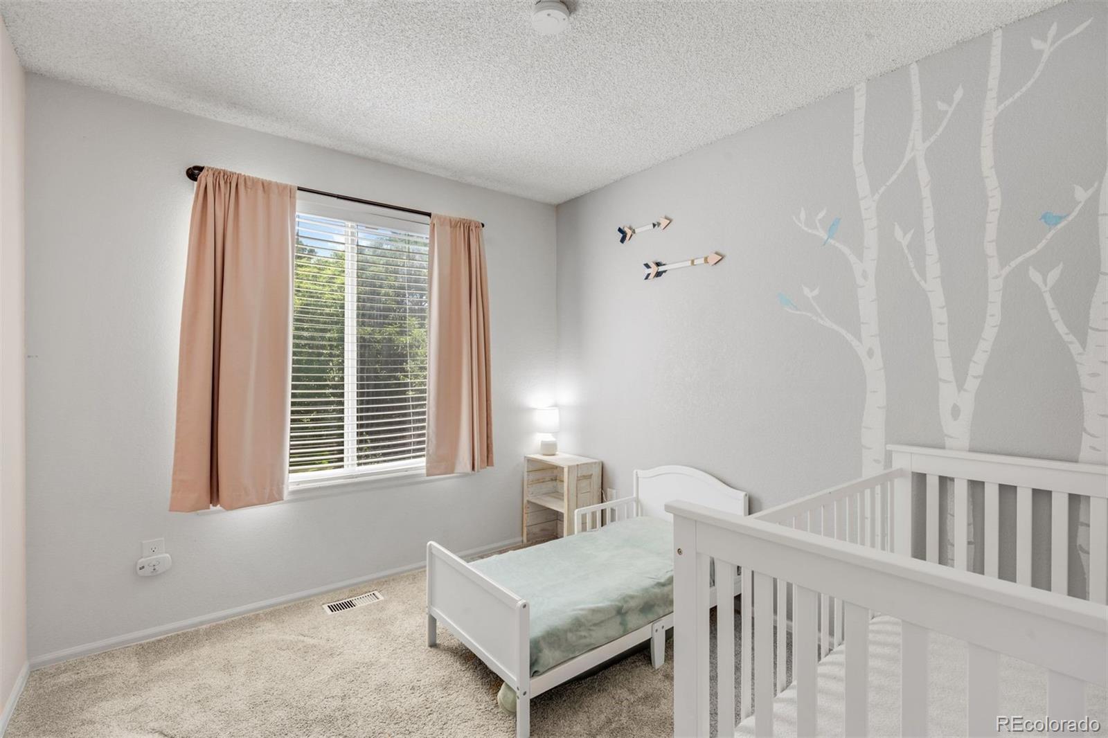 MLS Image #12 for 9352  balsam court,highlands ranch, Colorado