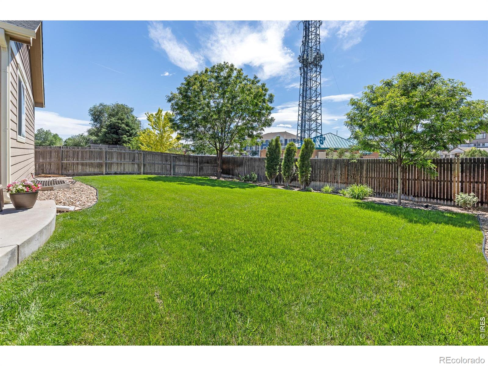 MLS Image #4 for 1735  trevor court,longmont, Colorado