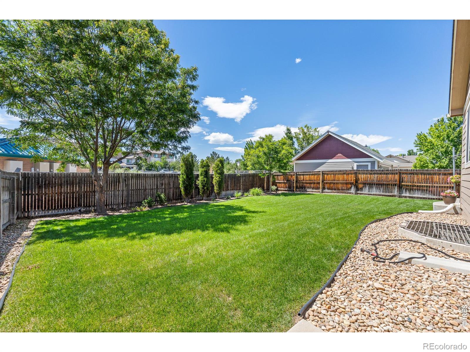 MLS Image #5 for 1735  trevor court,longmont, Colorado