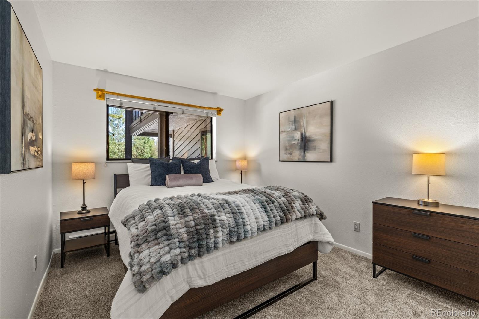MLS Image #14 for 315 s 2nd avenue,frisco, Colorado