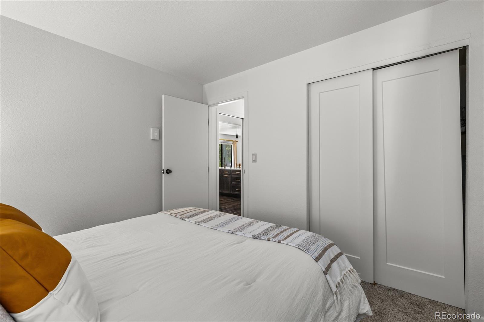 MLS Image #17 for 315 s 2nd avenue,frisco, Colorado