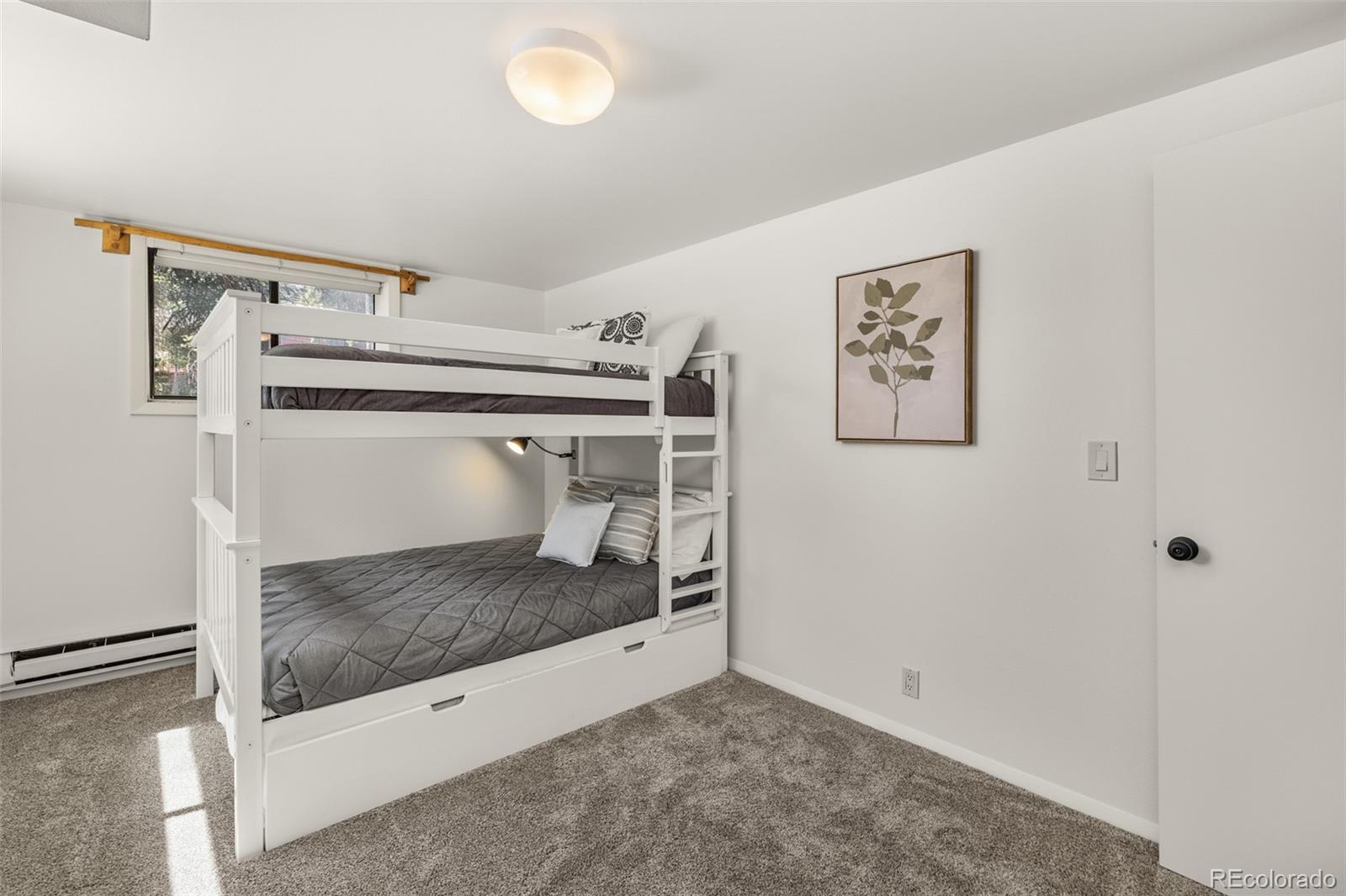 MLS Image #25 for 315 s 2nd avenue,frisco, Colorado